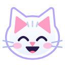 nermi_grin